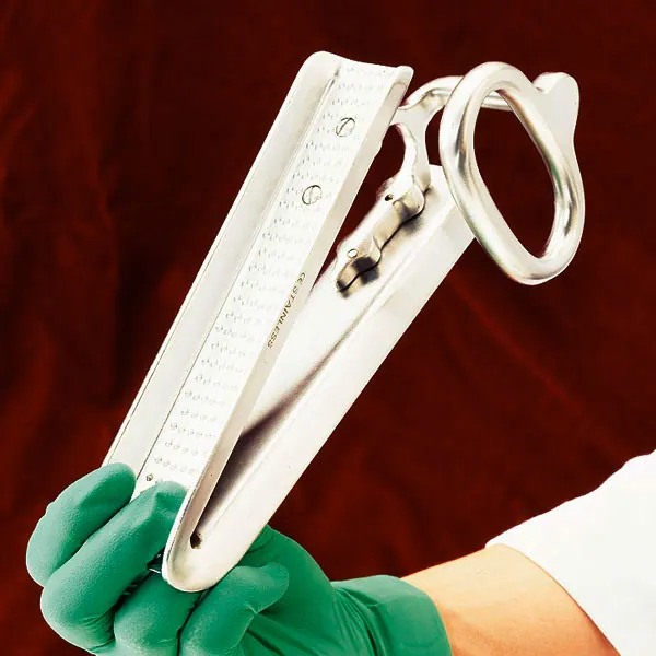 Maulkeil Perd nach Bayer